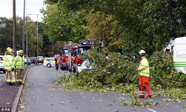 British weather forecasters warned that gusts of up to 80 mph (c 135 kmh) would batter buildings, uproot trees and cause travel chaos