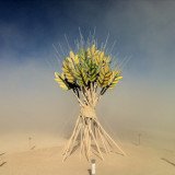 Burning Sheaf as a symbol of Burning Man's Rites of Passage
