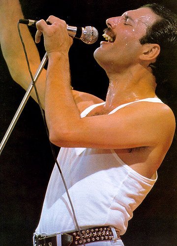 Freddie Mercury Freddie Mercury, the Queen frontman who left an important legacy