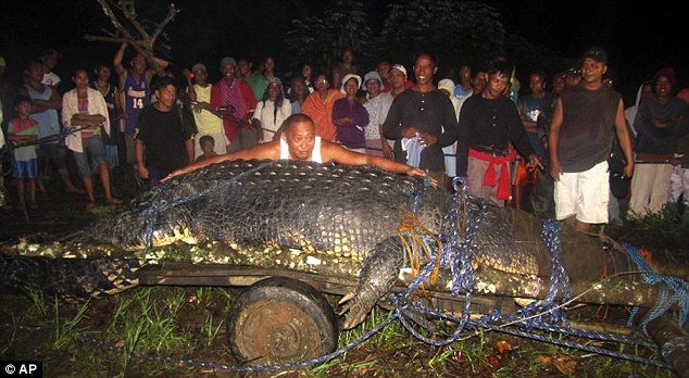 Many of the villagers posed beside the captured monster crocodile before it was driven off to a confined area
