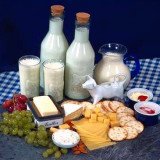 The McMaster University study findings showed that the women on higher-protein, high dairy group lost the greatest amount of whole-body fat and belly fat.