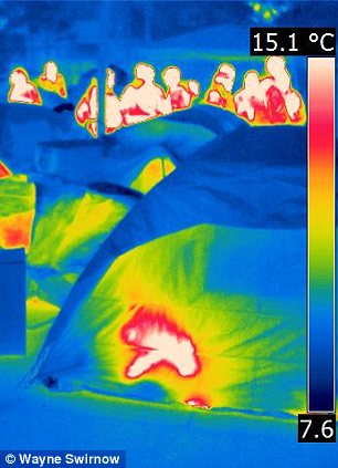 In the footage from thermal imaging cameras taken late on Friday night in New York, the presence of body heat from humans is represented by yellow and red inside the tents