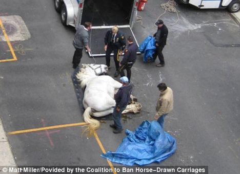 The horse collapsed and died on West 54th Street near Eighth Avenue at about 9.30 am