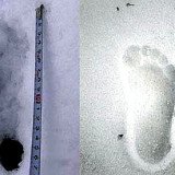 Yeti footprint found in Himalaya in 2008