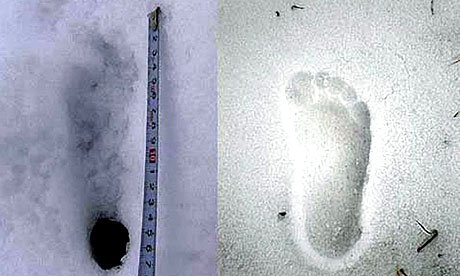 Yeti footprint found in Himalaya in 2008