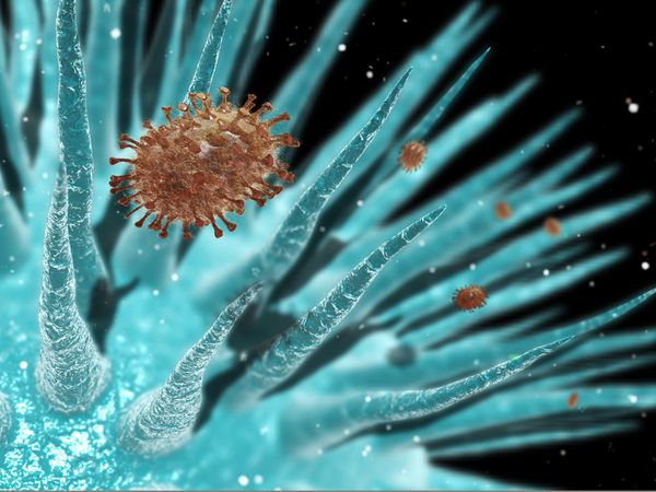 A group of scientists from Erasmus Medical Centre in the Netherlands is pushing to publish research about how they created a man-made flu virus that could potentially wipe out civilization