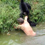 An amateur cameraman has captured the strange moment Joao Leite Dos Santos, a drunk zoo visitor jumped into a monkey enclosure to "play with them", and ended up with severe bite marks after the animals attacked