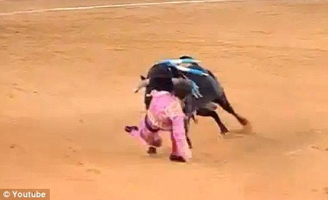 Juan Jose Padilla, a Spanish matador blinded in one eye after being gored during a bullfight announced today he will return to the ring as he made his first public appearance since the horrific incident