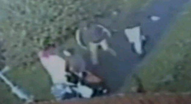 The moment when two muggers hurled a pram with a baby inside to the ground as they rob his mum and grandmother in Bolton town centre, UK, was captured on CCTV