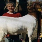 Ben Ellis, who was a freshman at Gilmer County High School, was the youngest of four children and was active in the Future Farmers of America, winning competitions for his goats