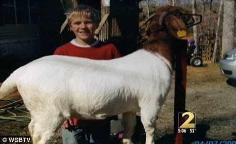 Ben Ellis, who was a freshman at Gilmer County High School, was the youngest of four children and was active in the Future Farmers of America, winning competitions for his goats