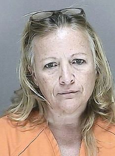 Cheryl L. Nemetz, 49, allegedly had sex with her 14-year-old neighbour five or six times, before the boy's friend told his mother