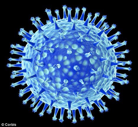 Last month it was reported that there were fears the modified strain of the H5N1 virus is more dangerous than anthrax