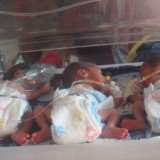 All six babies are well but under-weight, with one only weighing about 700g