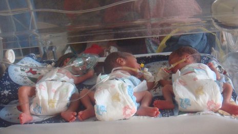 All six babies are well but under-weight, with one only weighing about 700g