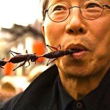 European Union has decided to spend 3 million Euros to research “the potential of insects as an alternative source of protein”