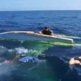 The Texas family was on a sightseeing flight along the coast of Roatan, off Honduras, when the plane's engine cut out and the craft plummeted into the sea