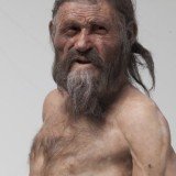 A reconstruction shows how Otzi the Iceman may have looked like before an arrow felled him