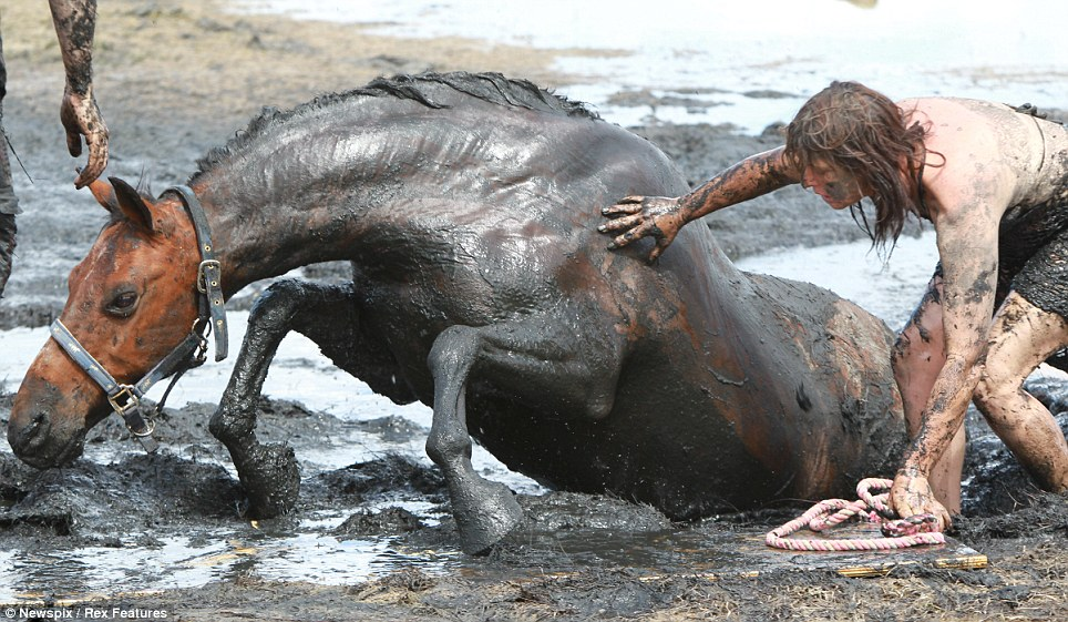 Exhausted and mud-splattered, Nicole Graham clung to her trapped horse Astro for three hours keeping his head high in a race against the tide