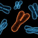 Experts found that men can inherit heart disease from their father after they have tracked the condition to the Y chromosome that dads pass to sons