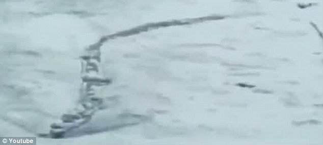 Images of a “serpent-like” sea creature gliding through the waters of an Icelandic river have been captured last week by Hjörtur Kjerúlf