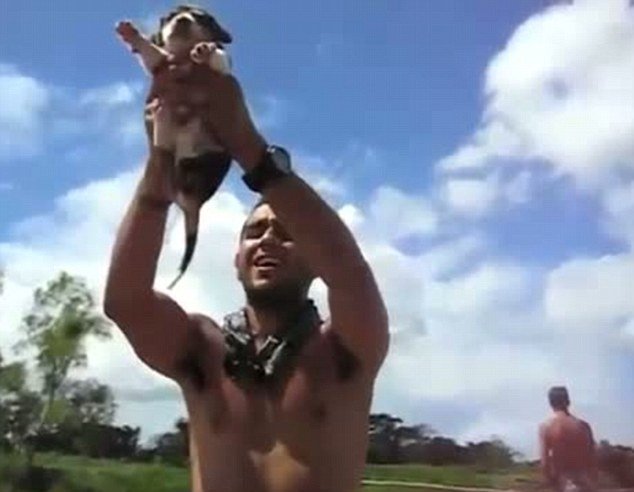 Lion King-ing, the latest internet phenomenon, sees pet owners around the world lifting their animals above their head