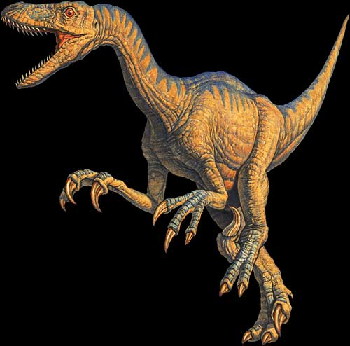 A bone of a large flying reptile found in the gut of a Velociraptor is believed to be the dinosaur's last meal