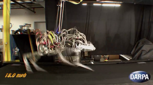 Cheetah, a four-legged and headless robot, has set a new world speed record, according to DARPA