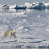 HadCRUT has been updated with the inclusion of more data from the Arctic region, which has experienced one of the greatest levels of warming