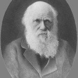 Researchers assumed Charles Darwin kept a letter from Alfred Russel Wallace, also with theories about natural selection, for two weeks - enabling him to revise elements of his own theory of evolution, before announcing it to the world in July 1858