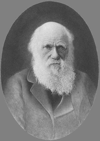 Researchers assumed Charles Darwin kept a letter from Alfred Russel Wallace, also with theories about natural selection, for two weeks - enabling him to revise elements of his own theory of evolution, before announcing it to the world in July 1858