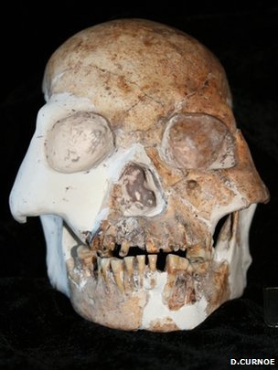The remains of at least five individuals from a previously unknown human species have been identified in southern China