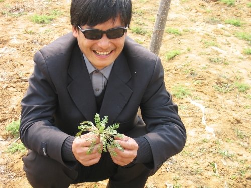 Rights activists say Chen Guangcheng slipped out of his home in Dongshigu town in Shandong province on Sunday
