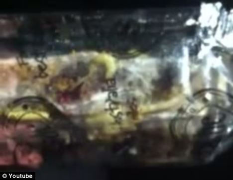 Victoria Cleven on board a Qantas flight discovered live maggots crawling inside a packet of the airline nuts