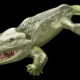 British scientists have discovered that Ichthyostega, one of the first creatures to step on land, could not have walked on four legs as 3D computer models show