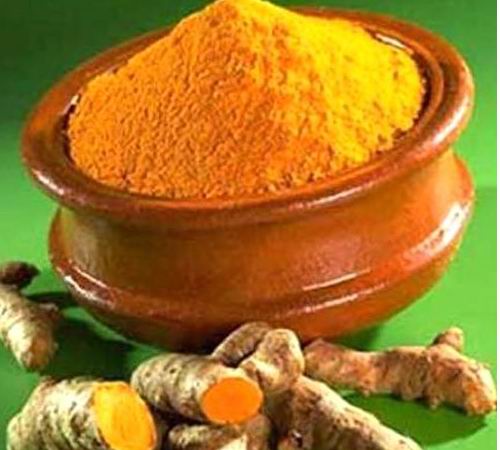 Curcumin, a chemical found in curry, is to be tested for its ability to kill bowel cancer tumors in patients