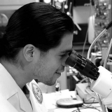 Early results from a US trial suggest it may be possible to use "stem cell shielding" to protect the body from the damaging effects of chemotherapy