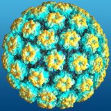 HPV infection can cause cervical cancer