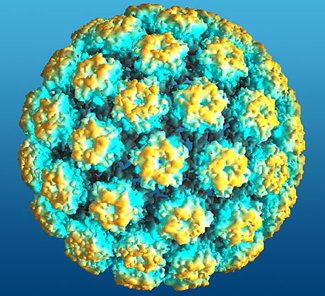 HPV infection can cause cervical cancer