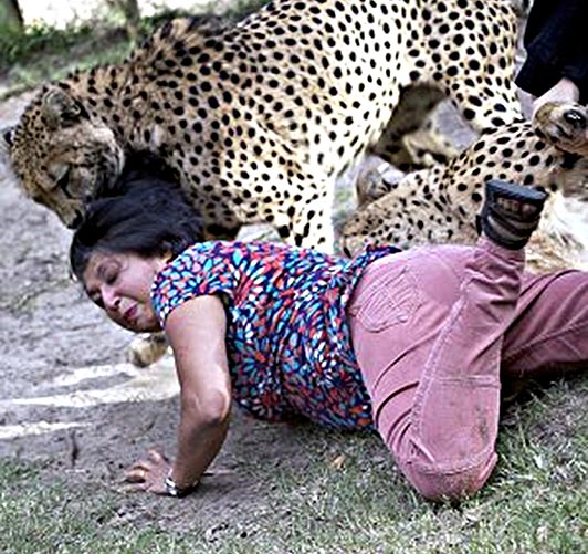 Violet D'Mello said she survived by "playing dead" at the Kragga Kamma Game Park in Port Elizabeth, South Africa last weekend
