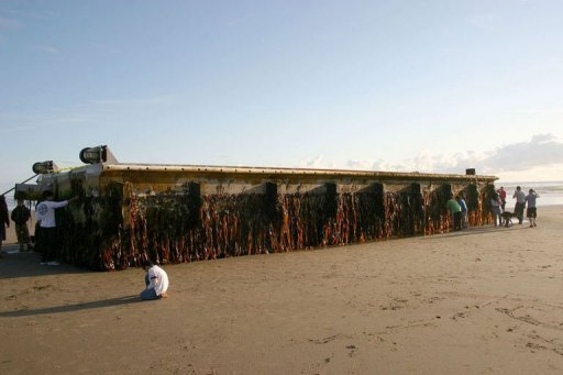 A huge dock torn from a Japanese port by March 2011 tsunami has washed up in the US state of Oregon