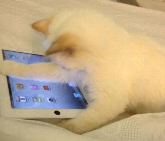 Karl Lagerfeld congratulated Choupette on her progress by posting a Twitter picture of her busy playing on the Apple device