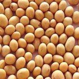 Although healthy postmenopausal women appear to have no cognitive benefits from soy supplements, soy could be a good addition for some people diets.