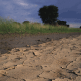 With water demand rising, forests and fish stocks declining, and lack of action on climate change, life on Earth may be at risk to an irreversible change