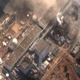 A Japanese parliamentary panel has said in a report the crisis at the Fukushima nuclear plant was "a profoundly man-made disaster