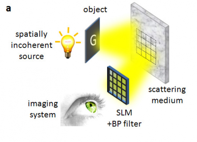Israeli scientists have found a novel way to get images through "scattering" materials such as frosted glass or skin