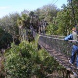 The Wild Africa Trek is a pricy tour Disney added 18 months ago to give some guests the opportunity to have a more personalized view of the Animal Kingdom