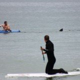 The great white shark was estimated at 12-14 ft and was seen less than 100 ft out in the water when it appeared behind Walter Szulc