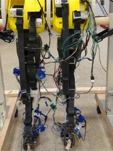 The most biologically-accurate robotic legs yet has been developed by US experts