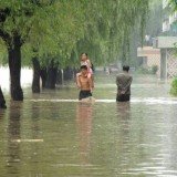 North Korea has requested immediate food aid after devastating floods last month